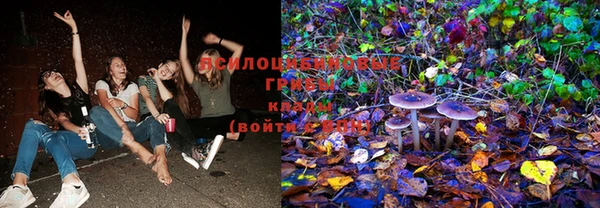 ешки Майский