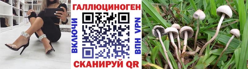 магазин  наркотиков  Копейск  Псилоцибиновые грибы мицелий 