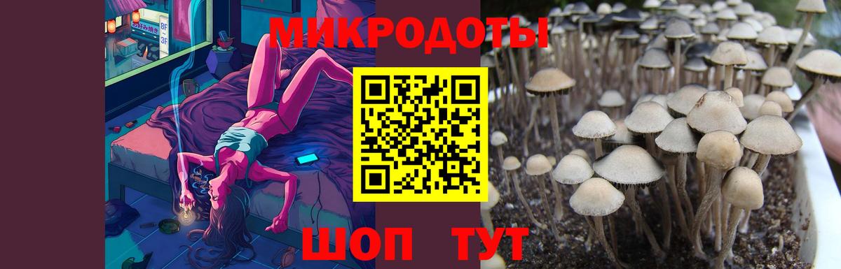 Копейск  Псилоцибиновые грибы GOLDEN TEACHER  Вход с VPN  Псилоцибиновые грибы GOLDEN TEACHER 