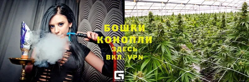 цены   Копейск  Марихуана OG Kush 